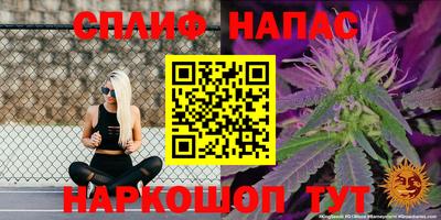 прущие грибы Ливны