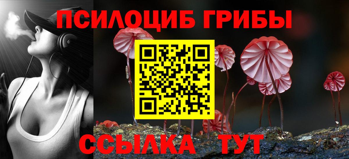 Галлюциногенные грибы мицелий Фурманов